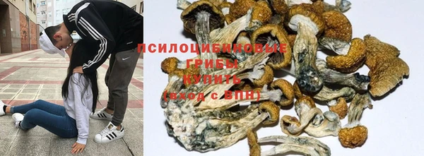 MESCALINE Белоозёрский